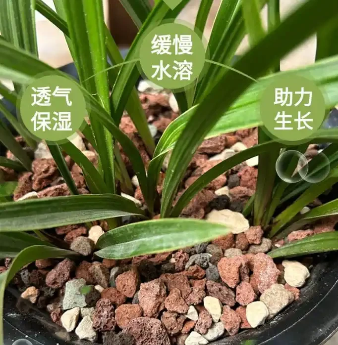 小總結