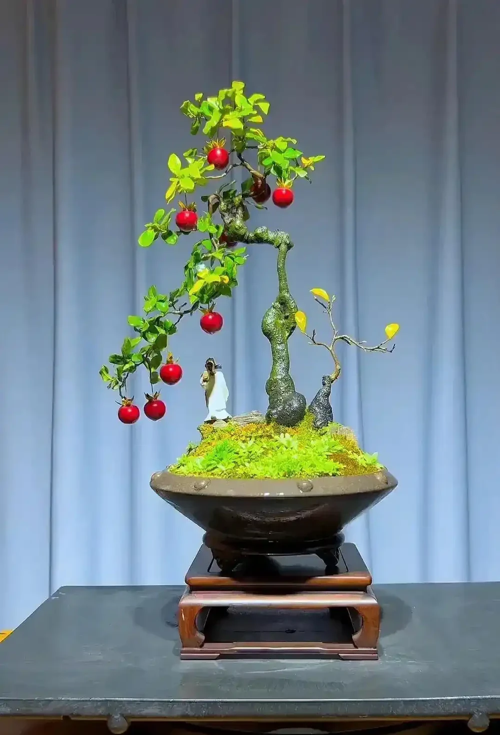 秋季金彈子保姆級養護指南,新手也能養出滿樹紅果