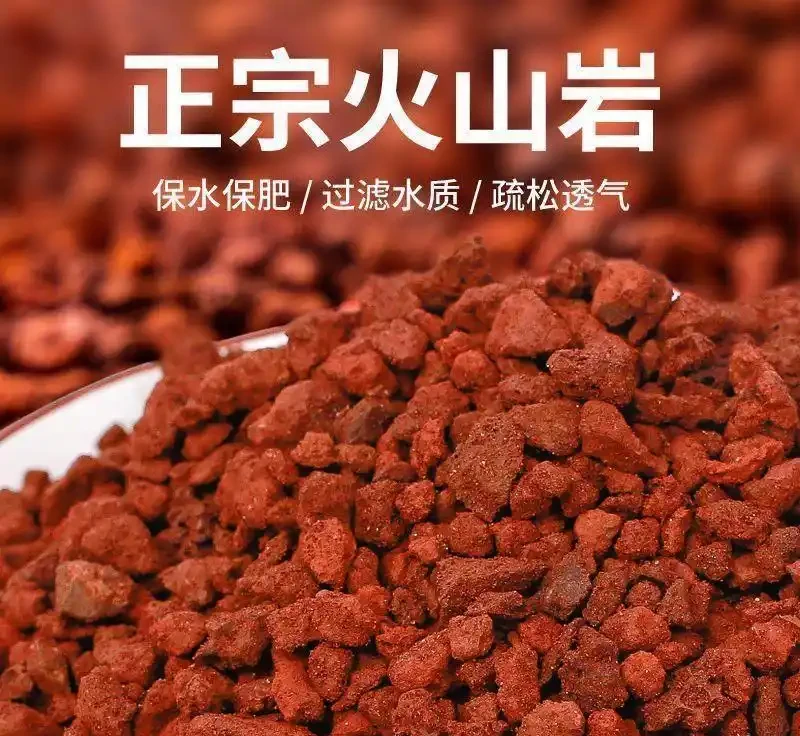 天然火山石