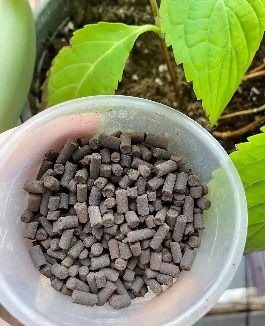 被忽視的牛糞肥,低價且好用,拌土養花,肥料足生長快!