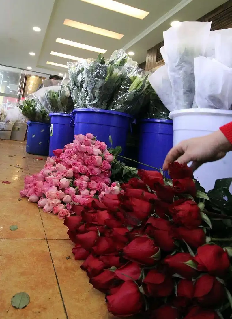 花店老闆私藏:玫瑰花束怎麼養才能開滿7天?關鍵在醒花