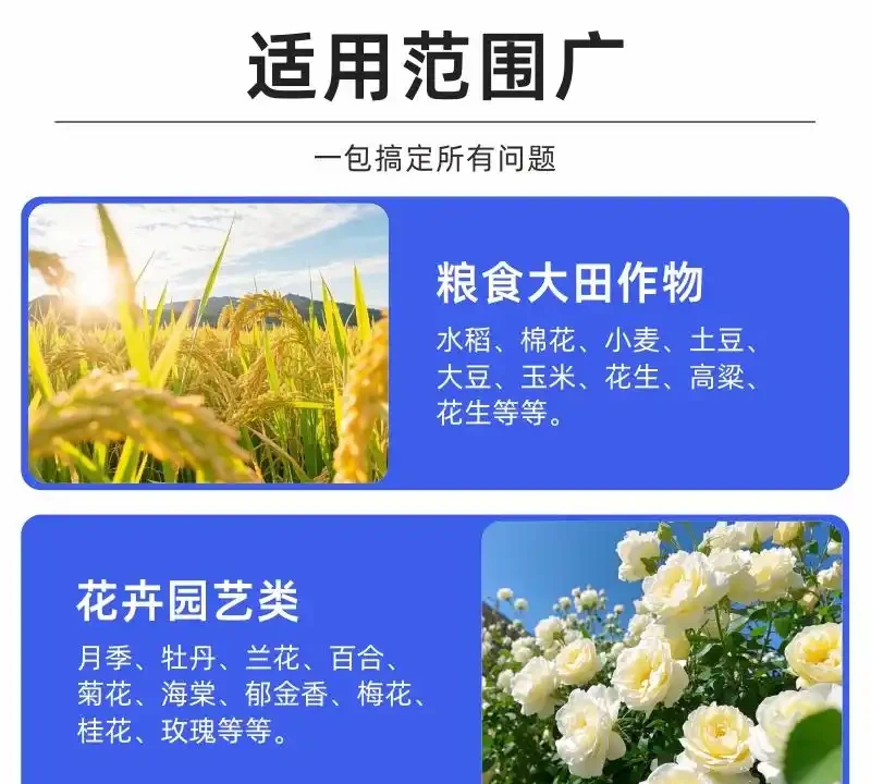 養花人必備:水溶性肥料這樣用,根系發達葉片油亮