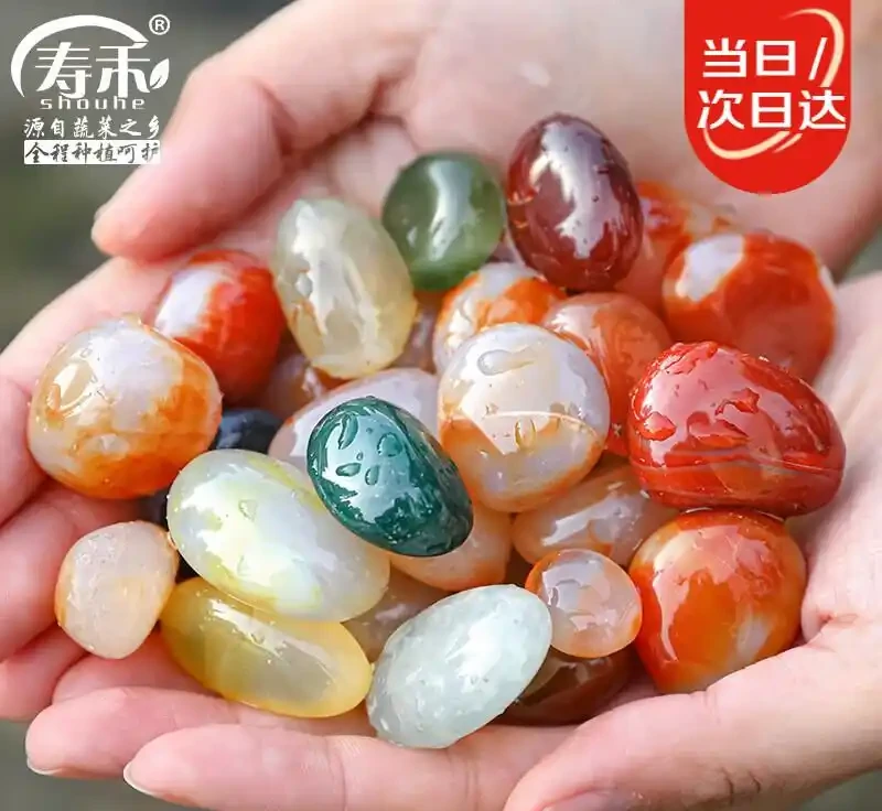 花盆鋪面用雨花石,效果和想象中不太一樣