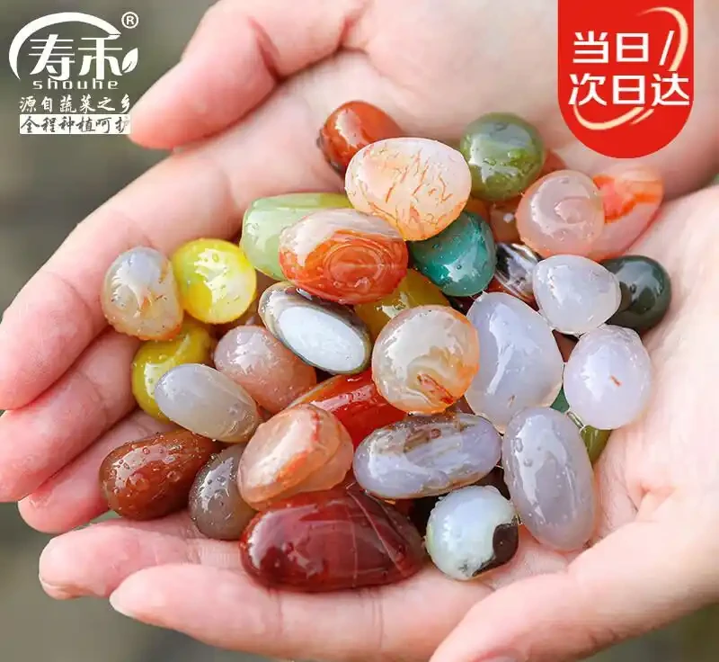 花盆鋪面用雨花石,效果和想象中不太一樣