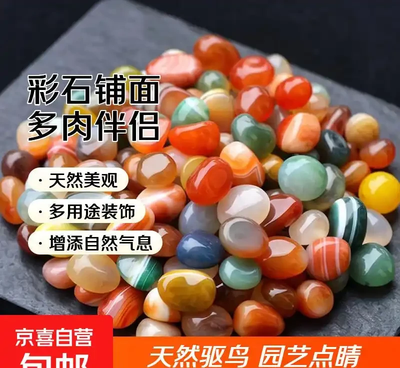 花盆鋪面用雨花石,效果和想象中不太一樣