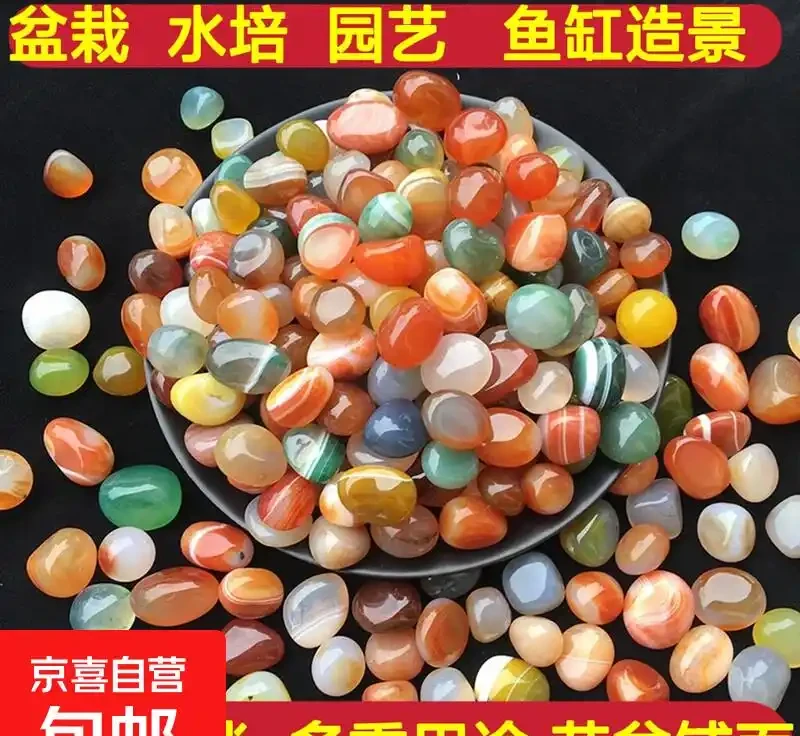 花盆鋪面用雨花石,效果和想象中不太一樣