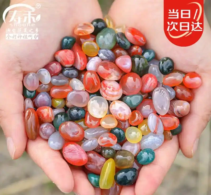 花盆鋪面用雨花石,效果和想象中不太一樣