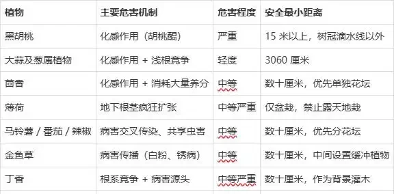 8種不適合和玫瑰種一起的植物