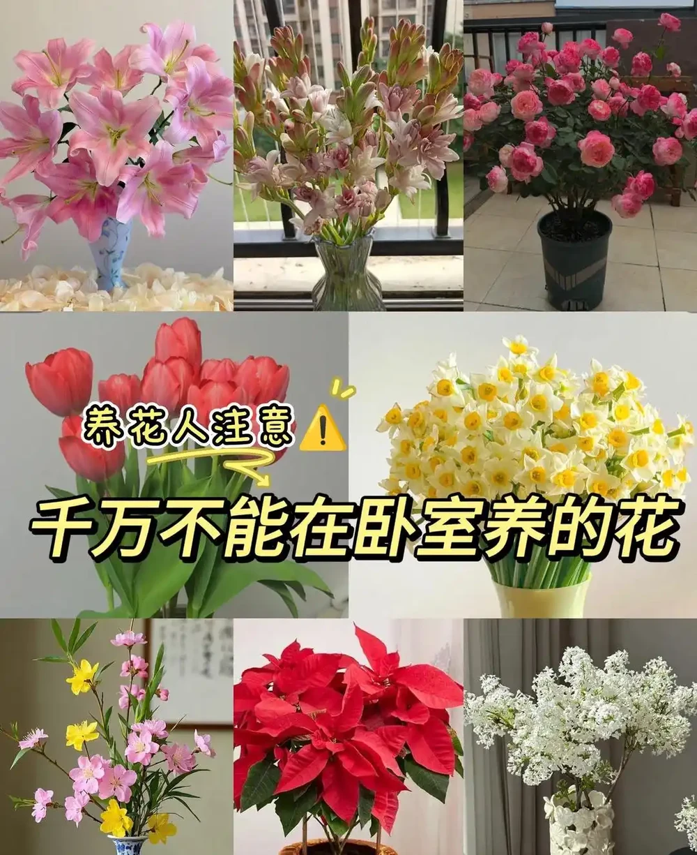 自查臥室,如果有這5樣,趕緊拿走,為了健康不能大意!