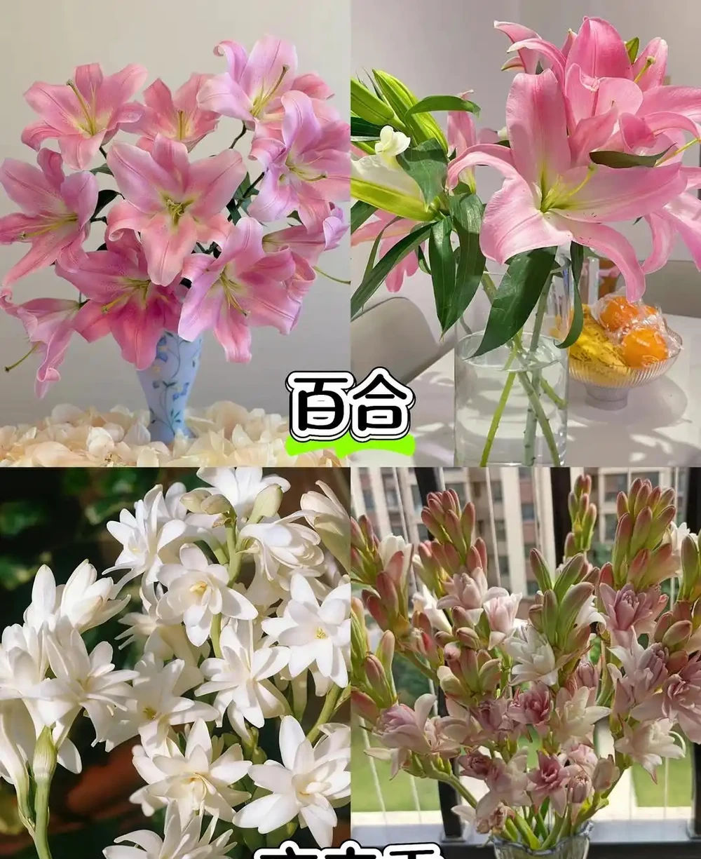 自查臥室,如果有這5樣,趕緊拿走,為了健康不能大意!