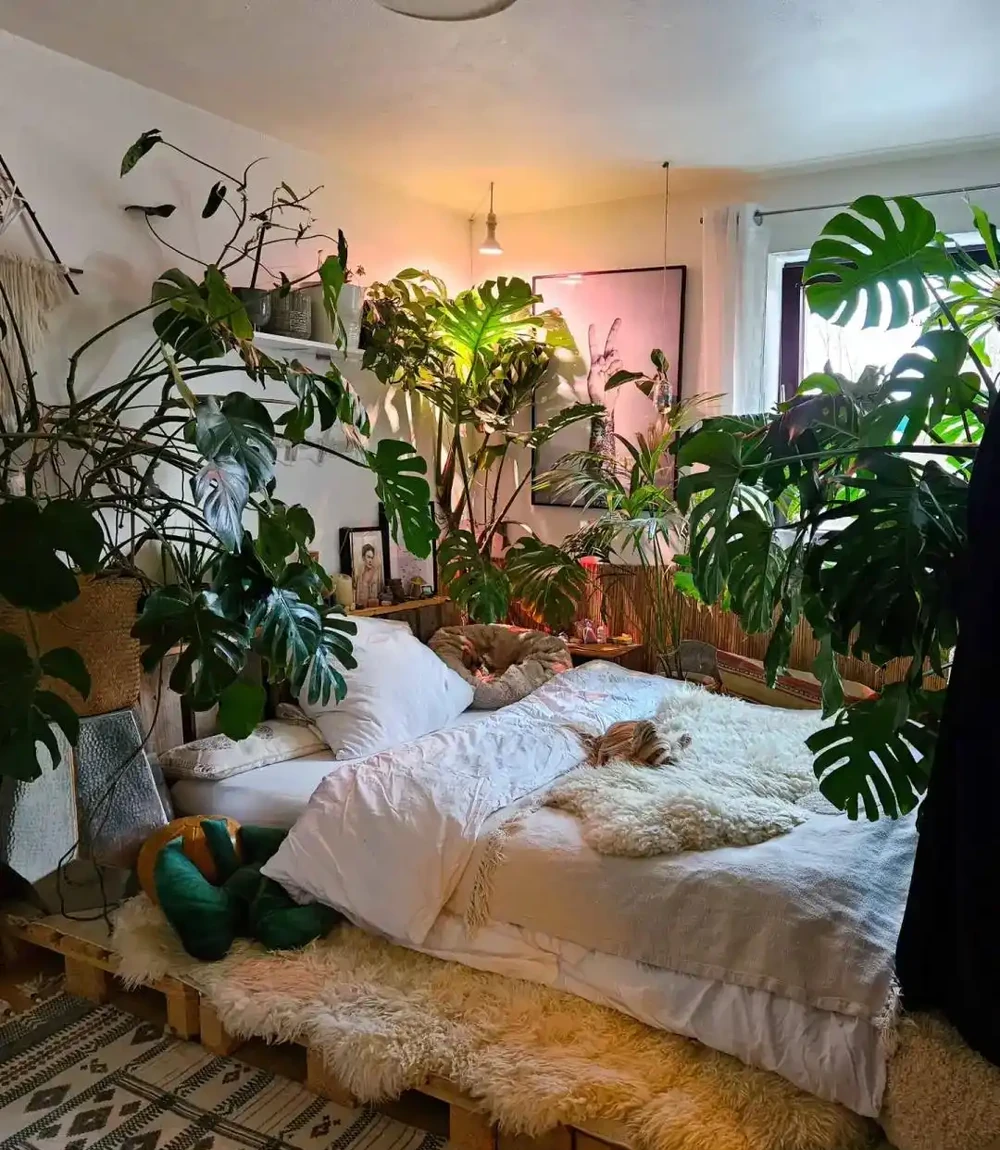 自查臥室,如果有這5樣,趕緊拿走,為了健康不能大意!