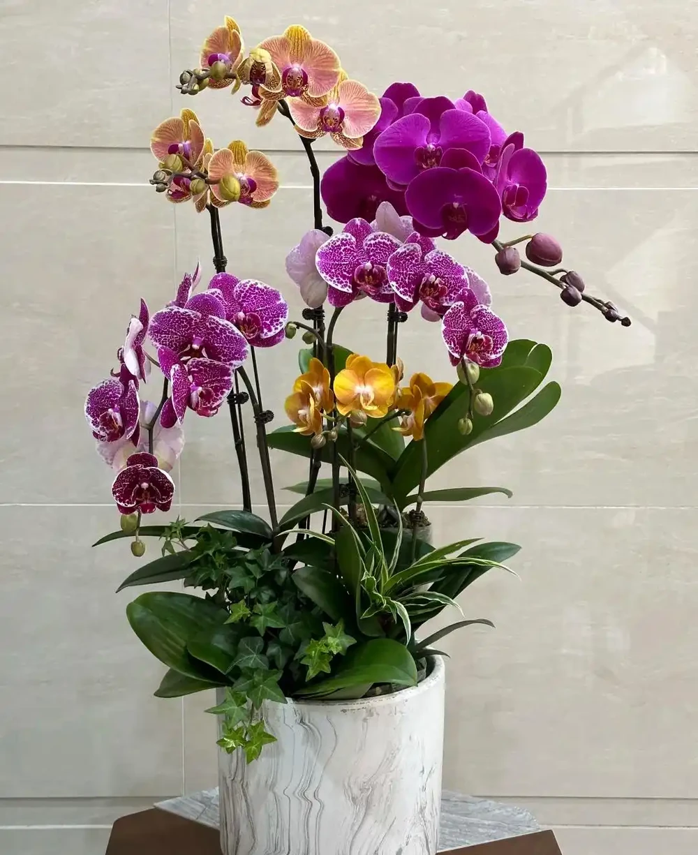 15種公認的「爆花小機器」,花量大、好養活,四季都能「花開不斷」