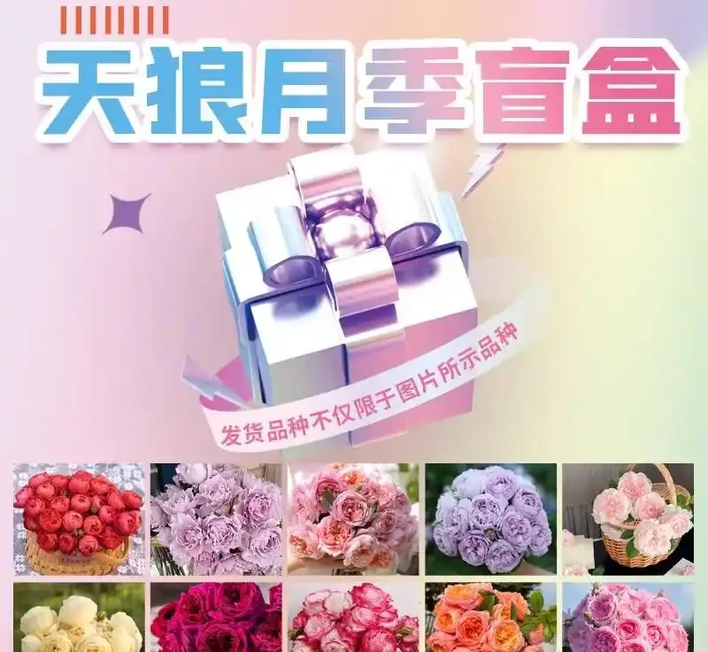 養花三年真心推薦,這些玫瑰色系植物讓庭院美翻了