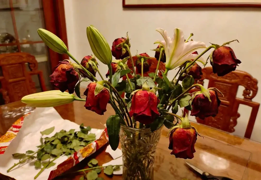 買的鮮花不開花 | 斜剪枝根部加這步 | 花苞齊刷刷綻放