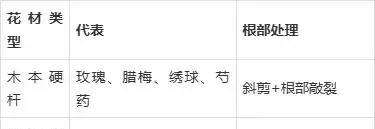 買的鮮花不開花 | 斜剪枝根部加這步 | 花苞齊刷刷綻放