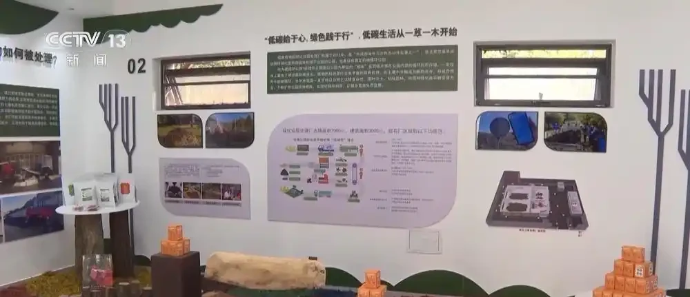 被嫌棄的落葉,竟是免費的『土壤黃金』?