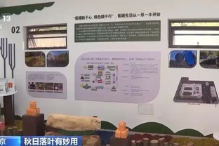 被嫌棄的落葉，竟是免費的『土壤黃金』？