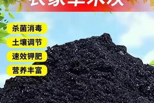 菜園種菜不想打藥？草木灰防蟲養土一撒就管用
