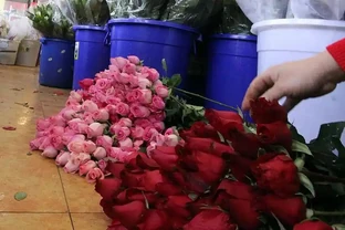 玫瑰花怎麼養水裡？加這一物，7天不換水照樣豔