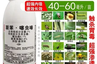 聯苯噻蟲嗪果樹蔬花椰菜卉植物小蟲粉蝨綠葉蟬蚜蟲薊馬木蝨殺蟲劑