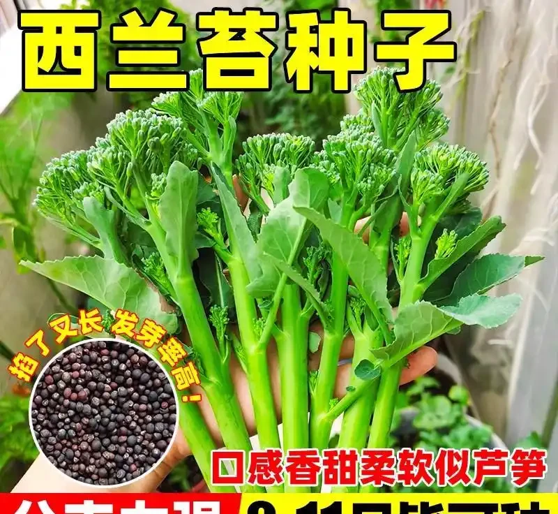 如果有種植愛好的你,這篇內容可千萬別錯過