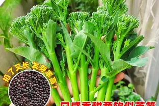 如果有種植愛好的你，這篇內容可千萬別錯過