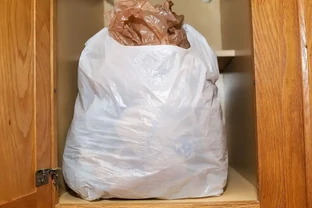 梔子花剛買回來就蔫了怎麼辦？3步救活，7天冒新芽
