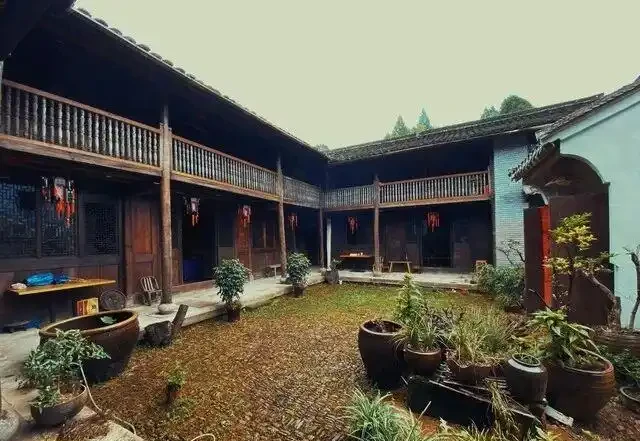 農村老話說「三樹進宅，升官發財」，指的是哪三種樹？一起來看下吧