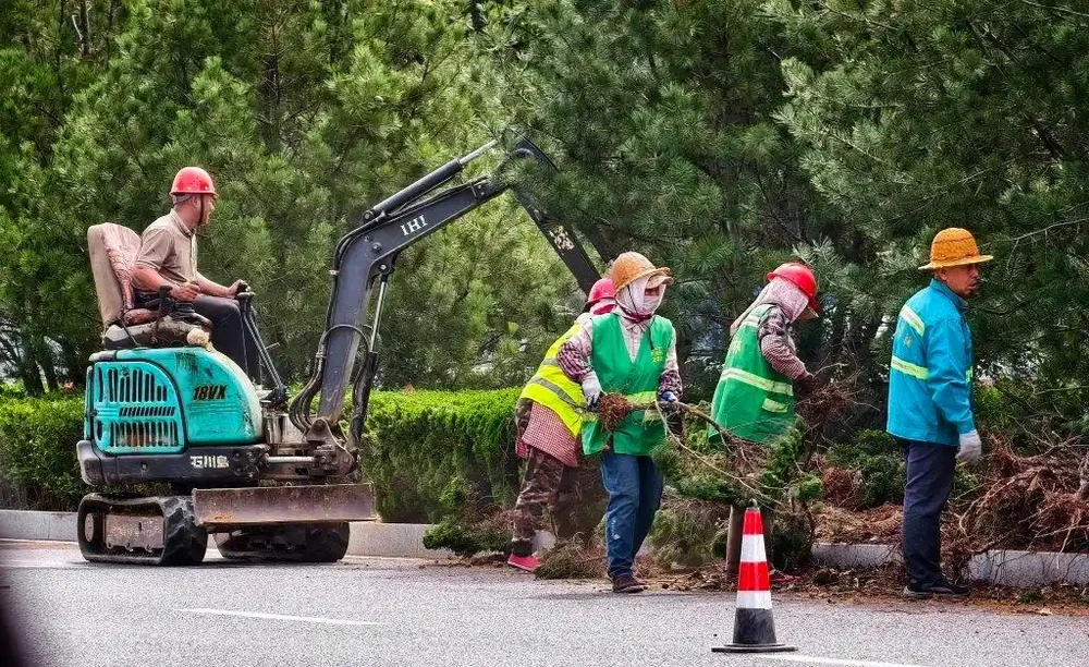 人機配合忙施工，李滄棗山路更新隔離帶綠植美化道路