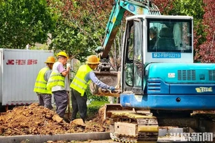人機配合忙施工，李滄棗山路更新隔離帶綠植美化道路