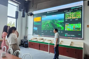 管茶園用這套方案，病蟲害防治效率提升50%