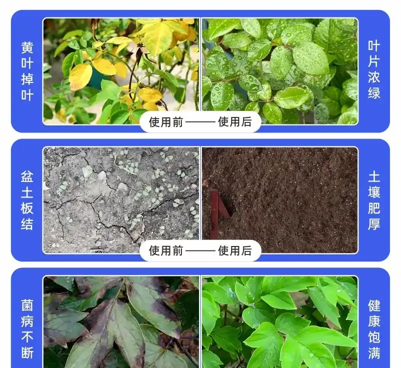 陽臺黨必看!這種「黑金」肥料讓黃金葛瘋長不停