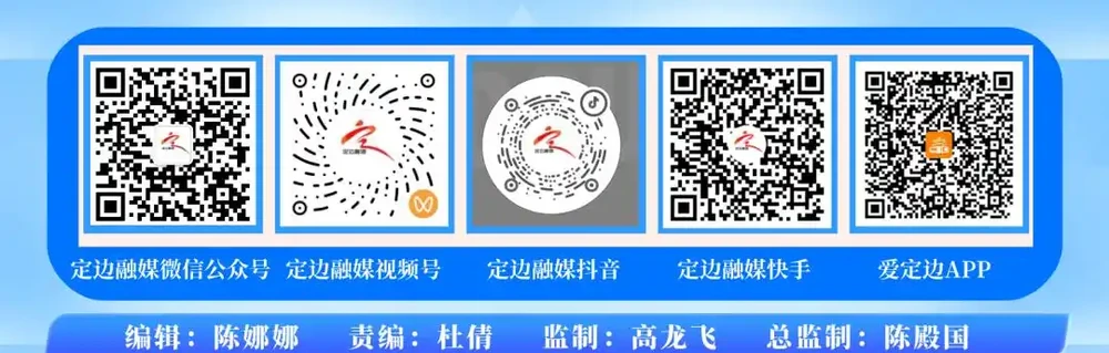 定邊縣草原病蟲害飛防作業公告