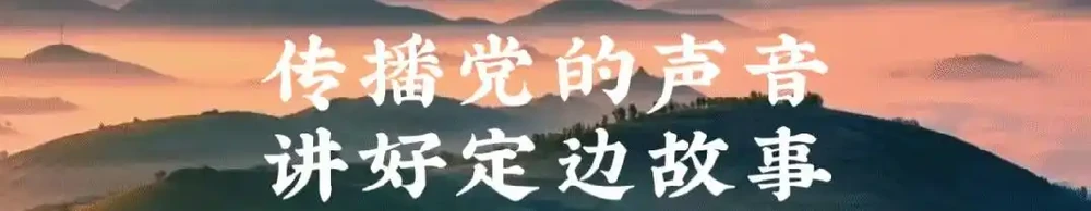 定邊縣草原病蟲害飛防作業公告